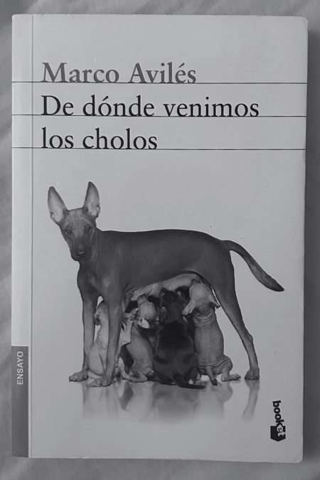 Marco Avilés